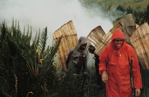 Regenschutz in Neuguinea